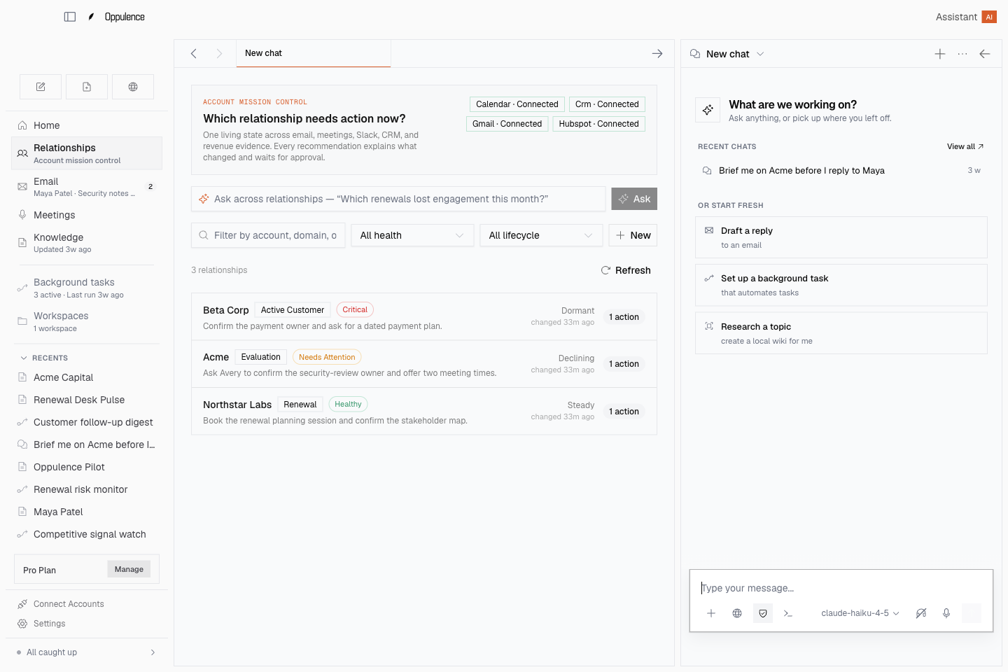 Actual Oppulence desktop app showing the prioritize relationship workflow